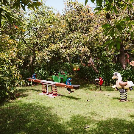 Homeforguest Cosy Rural Flat La Lavanda Surrounded By Nature Tacoronte Exterior photo
